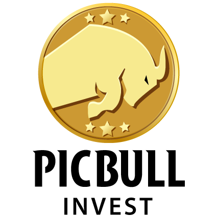 picbull.com.br
